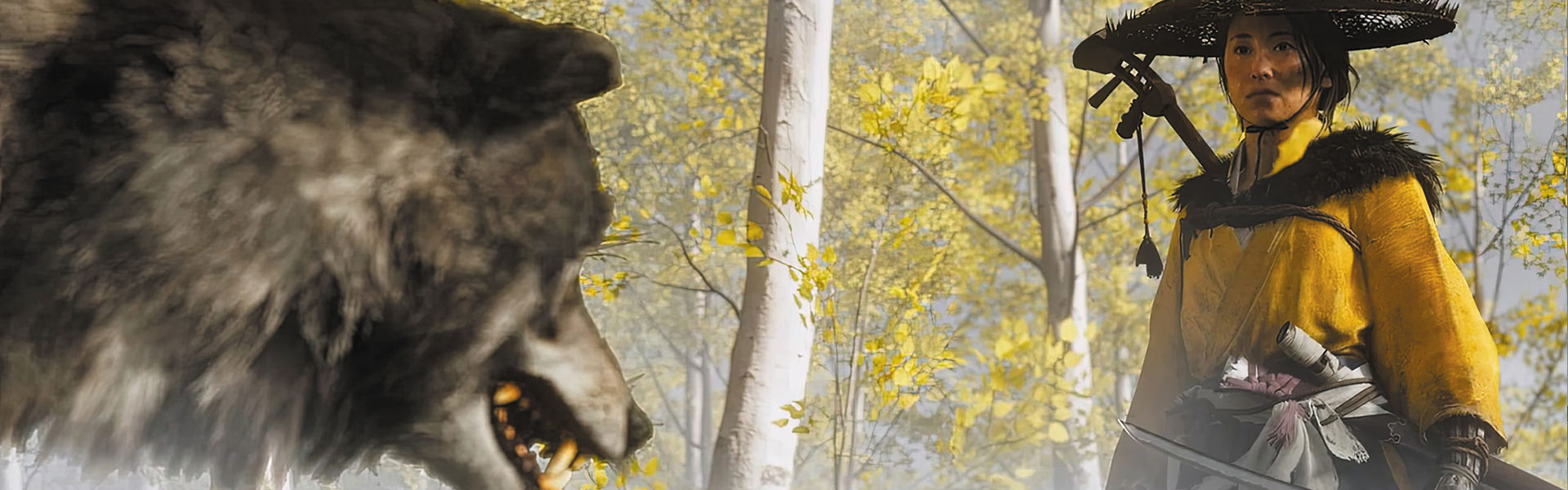 GHOST OF YOTEI NOT COMING TO PC